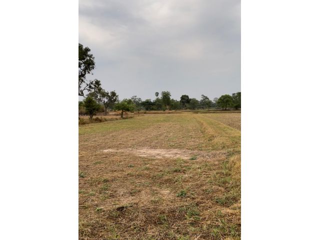 ขายที่นาหลุ่ม 6 ไร่ 3 งาน 20 ตารางวา