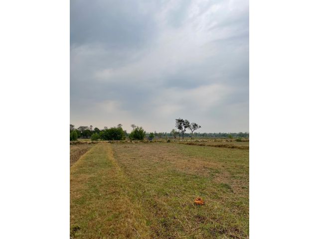 ขายที่นาหลุ่ม 6 ไร่ 3 งาน 20 ตารางวา