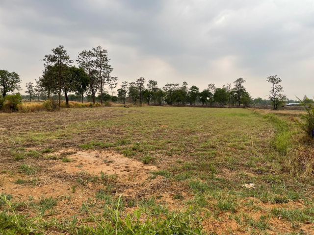 ขายที่นาหลุ่ม 6 ไร่ 3 งาน 20 ตารางวา