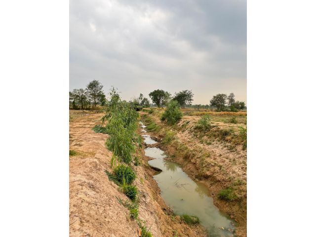 ขายที่นาหลุ่ม 6 ไร่ 3 งาน 20 ตารางวา