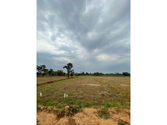 ขายที่นาหลุ่ม 6 ไร่ 3 งาน 20 ตารางวา