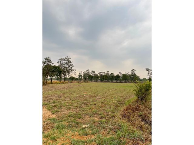 ขายที่นาหลุ่ม 6 ไร่ 3 งาน 20 ตารางวา