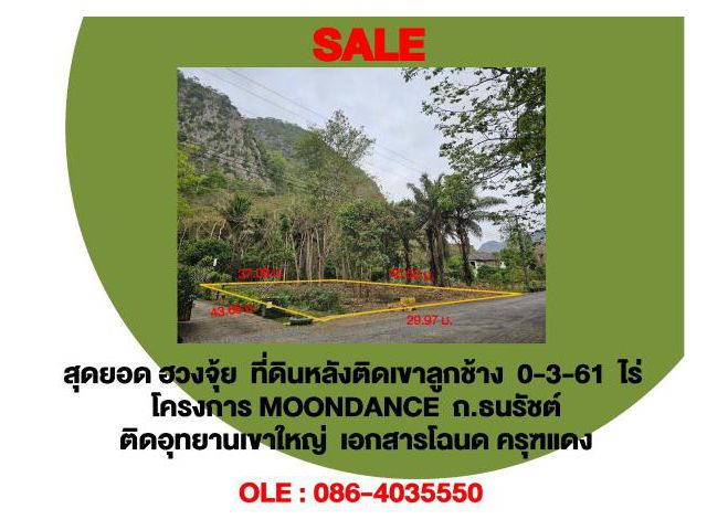 ขายที่ดินเขาใหญ่ วิวสวย ฮวงจุ้ยดี