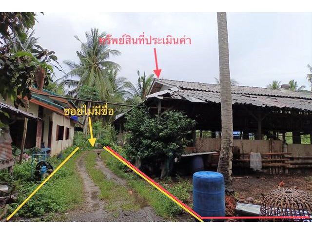 ขายฟาร์มโรงเรือนเลี้ยงแพะ ตำบลทุ่งปรัง อำเภอสิชล จังหวัดนครศรีธรร