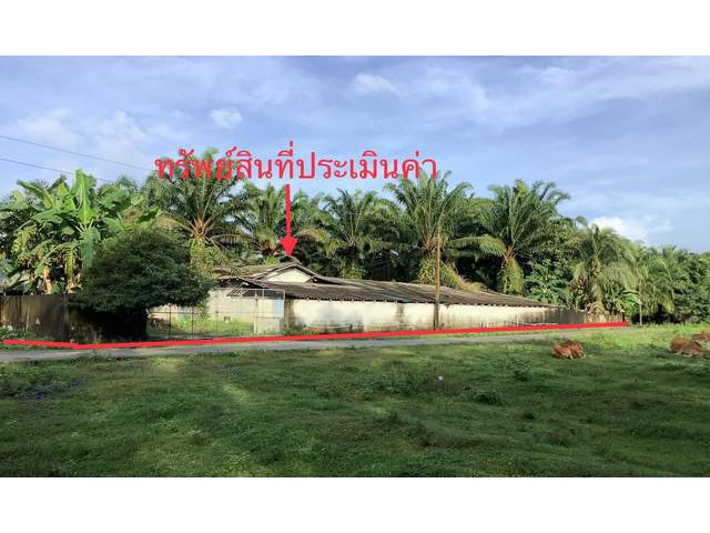 ขายฟาร์มโรงเรือนเลี้ยงสุกร อำเภอเฉลิมพระเกียรติ จังหวัดนครศรีธรรม
