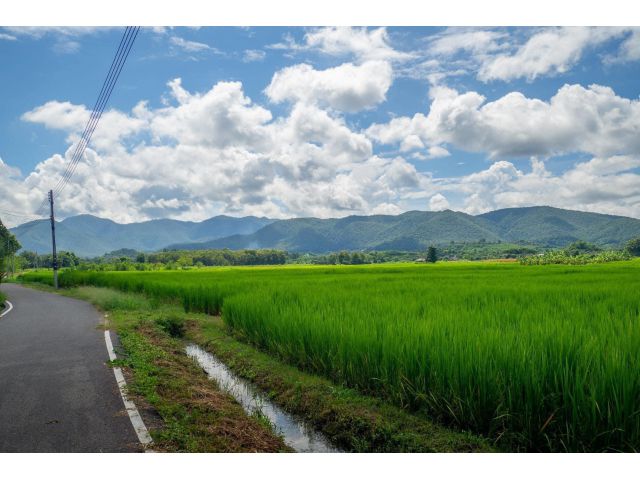 ที่ดินปลูกบ้านโฮมสเตย์สวยงามกลางภูเขา โฉนด 2 ไร่ ยกแปลง 900,000