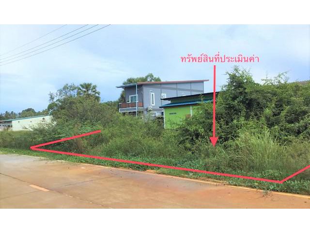 ขายที่ดินว่างเปล่า  อำเภอสิงหนคร  สงขลา