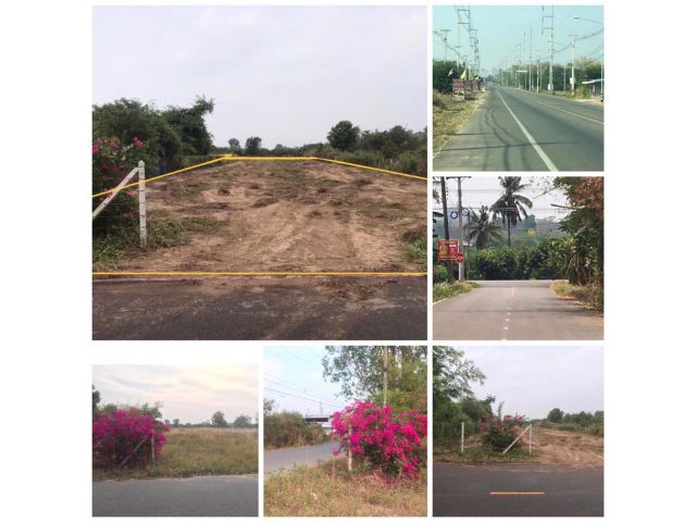 ++ ที่ดินโฉนดเสมอถนน 1 ไร่ 2 งานกว่า ติดถนนลาดยาง เขตชุมชน ใกล้ตลาด โรงพยาบาล