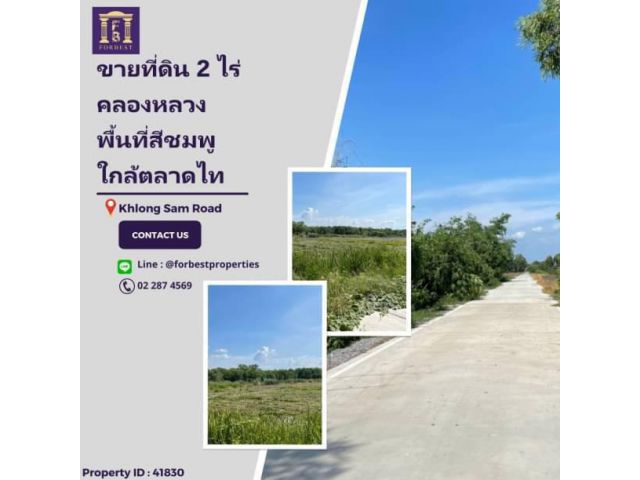 41830 ขายที่ดินต่ำกว่าราคาตลาดย่านคลองหลวง ใกล้ตลาดไท ปทุมธานี