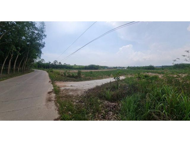 ขายที่ดิน19-3-81.4 ไร่ สายหลังไร่ ต.แม่น้ำคู้ อ.ปลวกแดง จ.ระยอง ด้านหน้าติดถนนคอนกรีต  ด้านหลังติดห้วยสาธารณะ ไฟฟ้าพร้อม