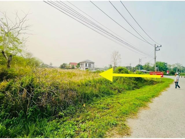ขายที่ดินเส้นรอบเมืองโรงพยาบาลหนองบัวลำภู ต.หนองบัวอ.เมือง จ.หนองบัวลำภู