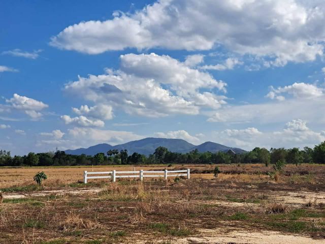 ที่ดินวิวเขาหลวง3.5ไร่โฉนดพร้อมโอน ติดถนน ประปาภูมิภาคไฟฟ้าครบ มีต้นไม้กำลังสวยหลายชนิด มะพร้าวมะม่วงฯลฯใกล้เมืองนครสวรรค์10นาทีใกล้ตลาดหนองเบนคมนาคมสะดวกทุกเส้นทาง