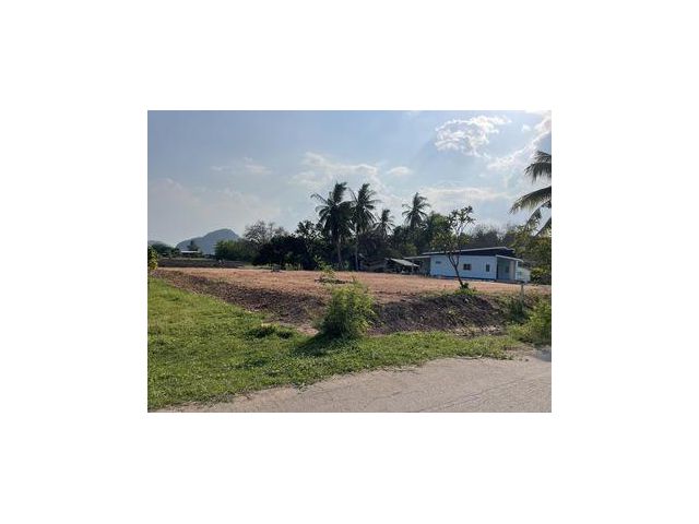 ที่ดินพร้อมปลูกบ้านและทำเกษตร