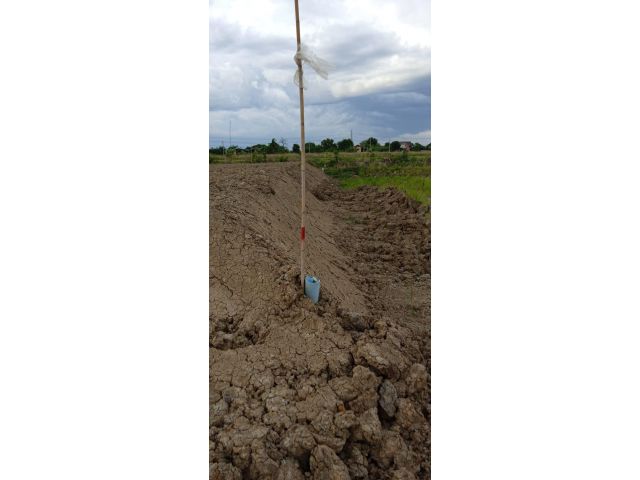 1ไร่ ขาย @ 1.4ล้าน บ้านคลองเจ้า ต.นราภิรมย์ เขตติดต่อไทรน้อย