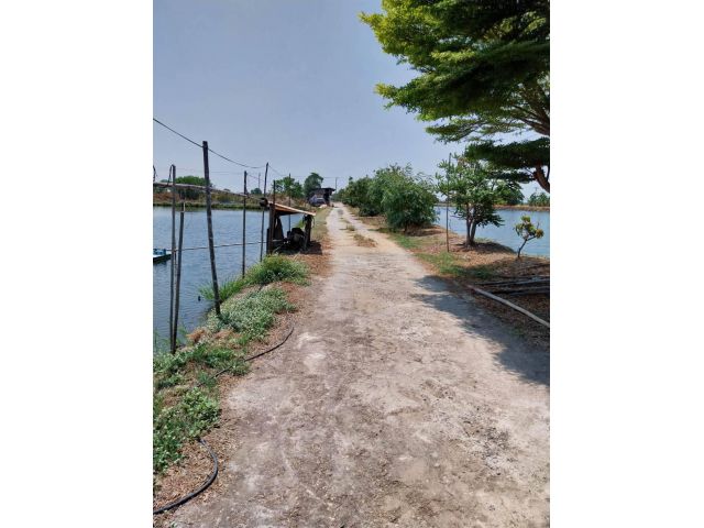 ขายที่ดินวิวคลองคอลาด เนื้อที่ 2 ไร่ บางบ่อ สมุทรปราการ