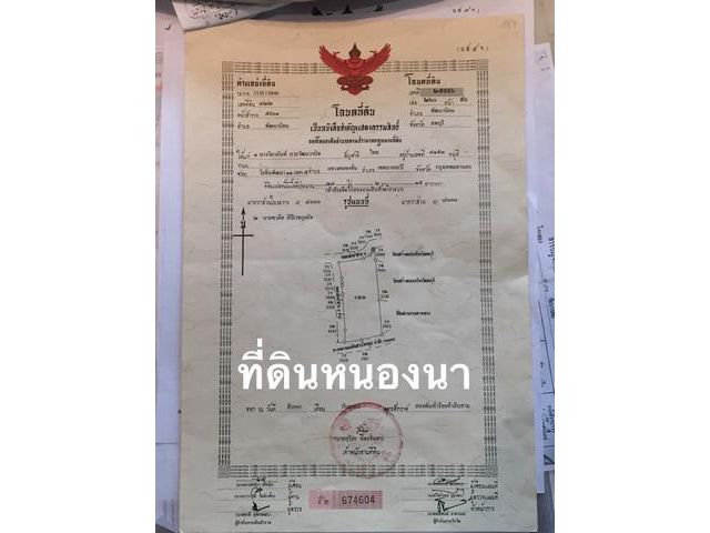 ขายที่ดิน อ.พัฒนานิคม จ.ลพบุรี 57ไร่ 2งาน 15ตรว