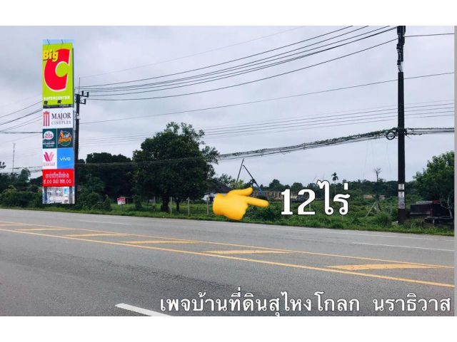 ขายที่ดิน 12 ไร่ ในเมืองสุไหงโก-ลก ใกล้กับบิ๊กซี ซูเปอร์เซ็นเตอร์