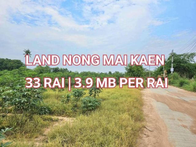 SI-011ขายที่ดิน หนองไม้แก่น อ.บางละมุง จ.ชลบุรี Land for sale Nong Mai Kaen, Banalamung, Chonburi