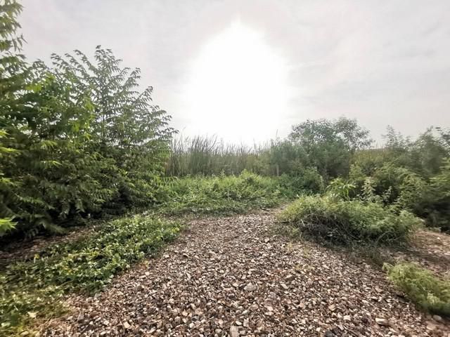 ที่ดินคลอง4 ลำลูกกา ลาดสวาย 22 ไร่ 323 ตร.ว