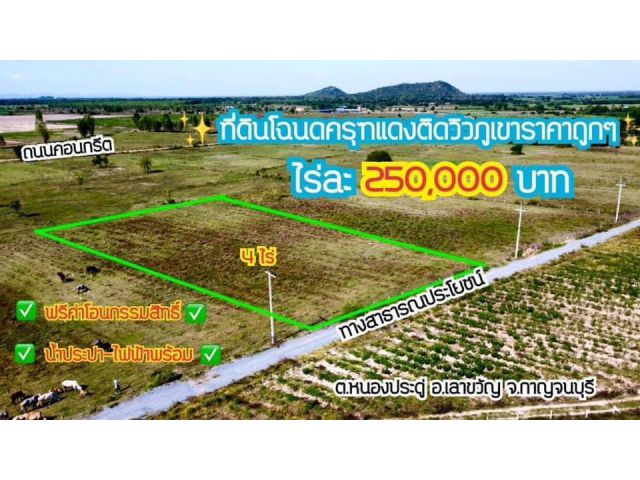 ขายที่ดินโฉนด 4 ไร่ใกล้ชุมชน เหมาะปลูกบ้านทำไรนาสวนผสม