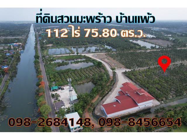 ขายที่ดินบ้านแพ้ว สวนมะพร้าว 112 ไร่ ยกกระบัตร สมุทรสาคร