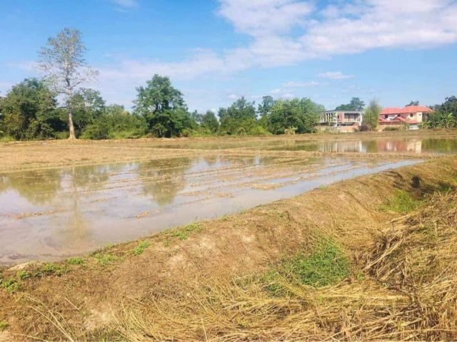 ขายที่นาวิวดอยบ้านสันปูเลยดอยสะเก็ตโฉนดพร้อมโอน