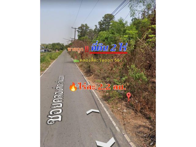 ขายถูกที่สุด!!ที่ดินคลองหลวง  2 ไร่ ติดถนนลาดยางสาธารณะ มีไฟฟ้า+ประปา คลองสี่ตะวันออก 56