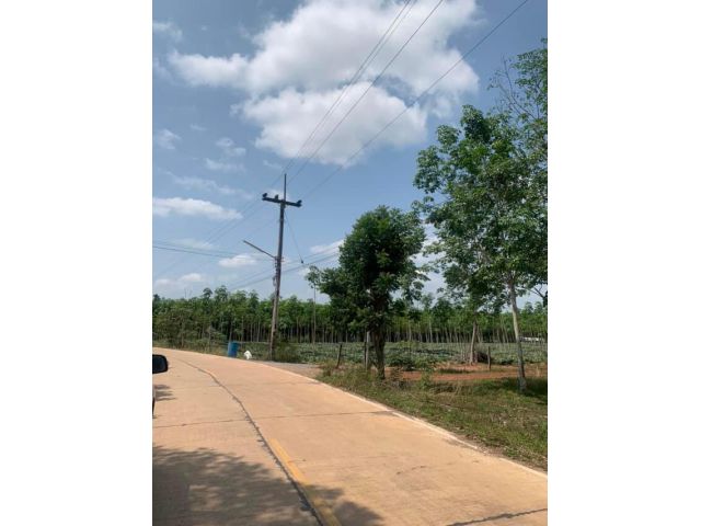 ขายที่ดิน200 ตรวา ติดถนน ไฟฟ้า ประปา พร้อม