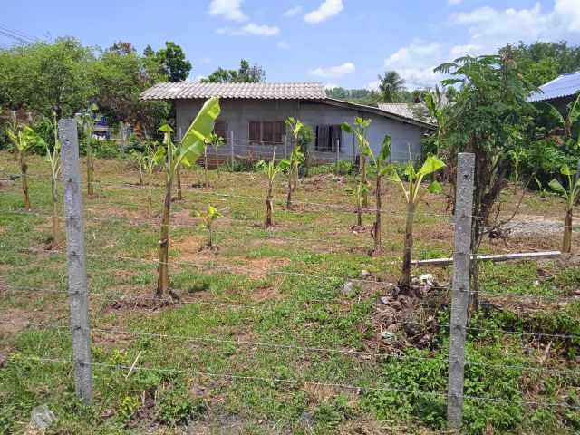 ขายที่ดินราคา 450,000 บาทไกล้โรงเรียนนานาชาติเปรม แม่ริม เชียงใหม่