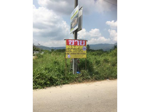ขายที่ดิน บ้านบึง ชลบุรี เนื้อที่ 2-0-95 ไร่