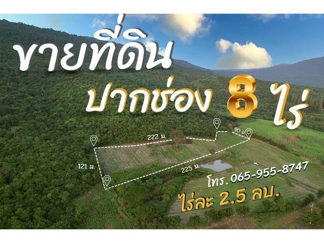 ขายที่ดินปากช่องติดวิวเขาสวย 180 องศา เนื้อที่ 8 ไร่(แบ่งขาย)เหมาะทำ pool Villa บ้านพักส่วนตัว บรรยากาศดีสุดพรีเมี่ยม 10