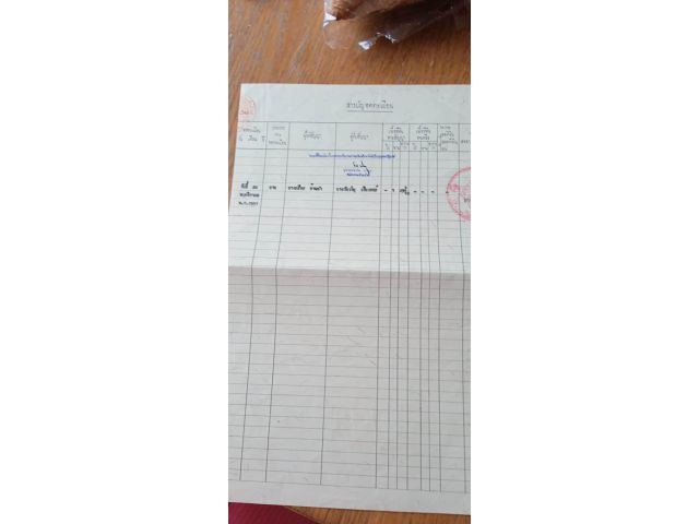 ขายที่ดินราคา 450,000 บาทไกล้โรงเรียนนานาชาติเปรม แม่ริม เชียงใหม่