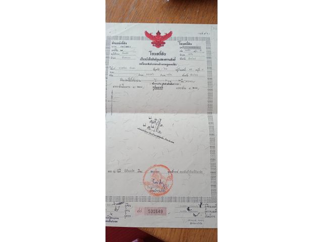 ขายที่ดินราคา 450,000 บาทไกล้โรงเรียนนานาชาติเปรม แม่ริม เชียงใหม่