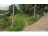 ขายที่ดินราคา 450,000 บาทไกล้โรงเรียนนานาชาติเปรม แม่ริม เชียงใหม่