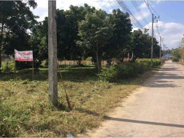 ขายที่ดิน433วา ใกล้ราชภัฏประตู2 สนามไดร์ฟกล์อฟ ทำหอพัก