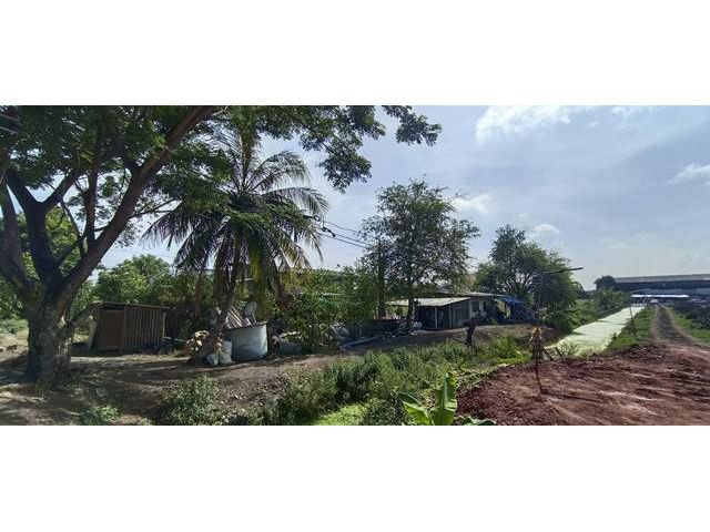 AS002 ขายที่ดินสวยสามารถใช้สร้างโรงงานได้ผังเมืองสีม่วงขนาดที่ดิน 8-2-0 ไร่ ใกล้ถนนตัดใหม่ เดินทางสะดวก สมุทรสาคร