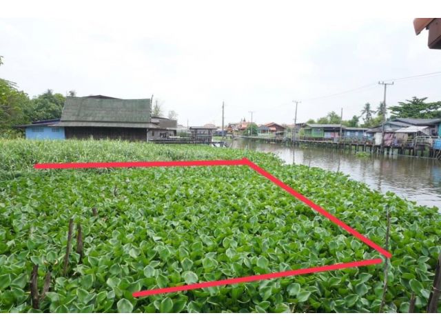 ขาย ที่ดิน 227 ตรว. ติดคลองอ้อมนนท์ (ซอย วัดมะเดื่อ รัตนาธิเบศร์ )