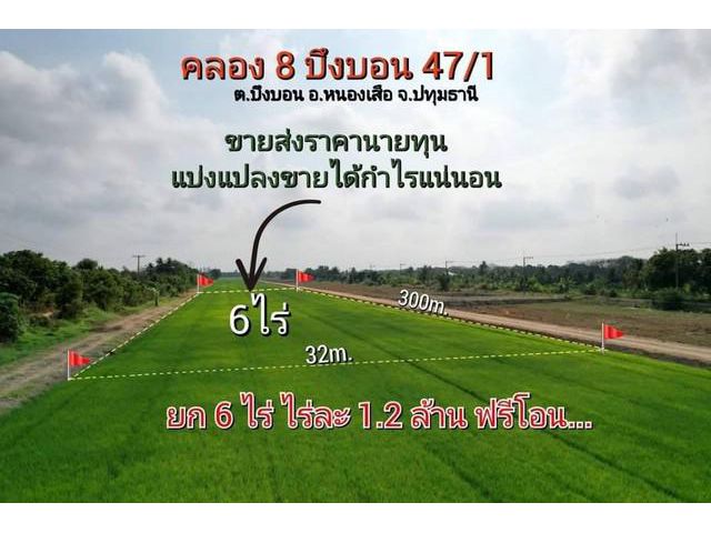 ที่ดินคลอง 8 หนองเสือ ซอยบึงบอน47/1