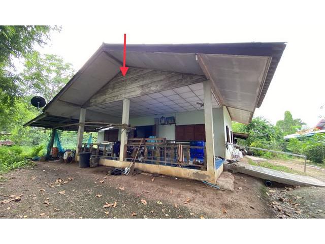 ขายบ้านเดี่ยวใกล้ โรงพยาบาลบึงสามัคคี อำเภอบึงสามัคคี จังหวัดกำแพ