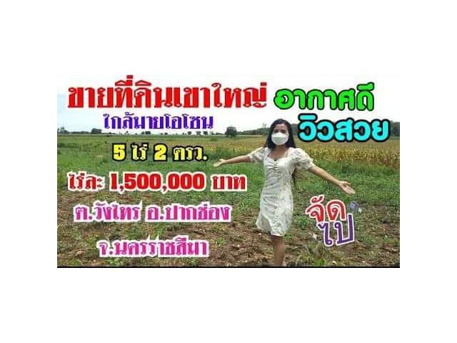 ขายที่ดิน " วิวสวย อากาศดี " ใกล้มายโอโซนเขาใหญ่ เนื้อที่ 5 ไร่ 2 ตรว.วังไทร ปากช่อง นครราชสีมา