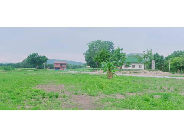 ขายบ้านสวนพร้อมที่ดิน 3 ไร่ (กู้ธนาคารได้) อยู่ใกล้วัดเขาดีสลัก มีไฟฟ้าประปาบ่อบาดาล ต้นไม้ใหญ่ไม้สัก ประดู่ ราชพฤกษฯลฯ