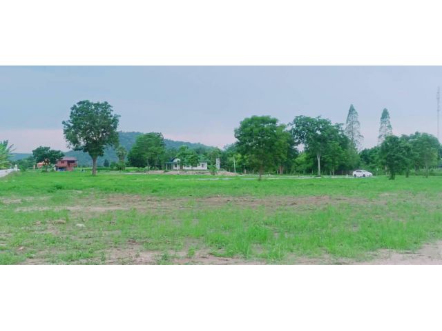 ขายบ้านสวนพร้อมที่ดิน 3 ไร่ (กู้ธนาคารได้) อยู่ใกล้วัดเขาดีสลัก มีไฟฟ้าประปาบ่อบาดาล ต้นไม้ใหญ่ไม้สัก ประดู่ ราชพฤกษฯลฯ