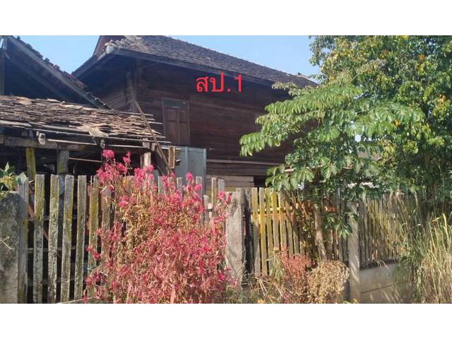 ขายบ้านไม้ 2 ชั้น 164 ตร.ว. อำเภอ แม่แจ่ม จังหวัด เชียงใหม่