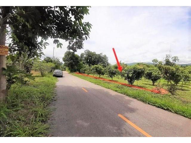 ขายที่ดินว่างเปล่า  อำเภอทุ่งหัวช้าง  ลำพูน