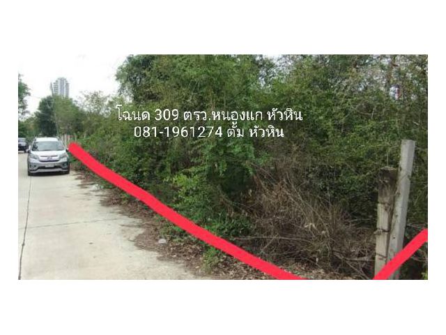 ขายที่ดินโฉนด 309 ตรว. หน้าติดถนนคอนกรีต ลักษณะบนเนิน  ปลูกบ้านมองเห็นทะเลชัดๆ