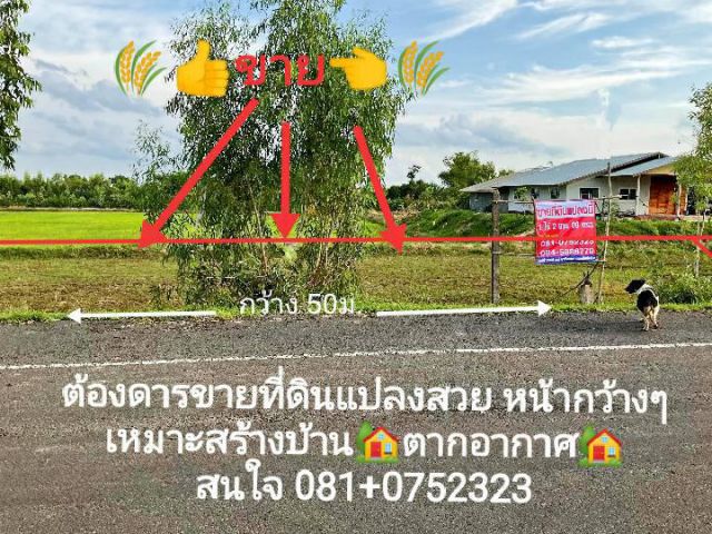 ขายที่ดิน อ.ลืออำนาจ แปลงพอเหมาะ 1 ไร่ 2 งาน มีไฟฟ้า ติดถนนลาดยางยาง