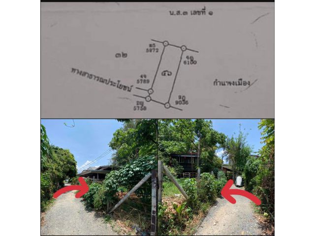 ขายที่ดิน 43 ตรว. Land for sale 43 sqw.in Nimman