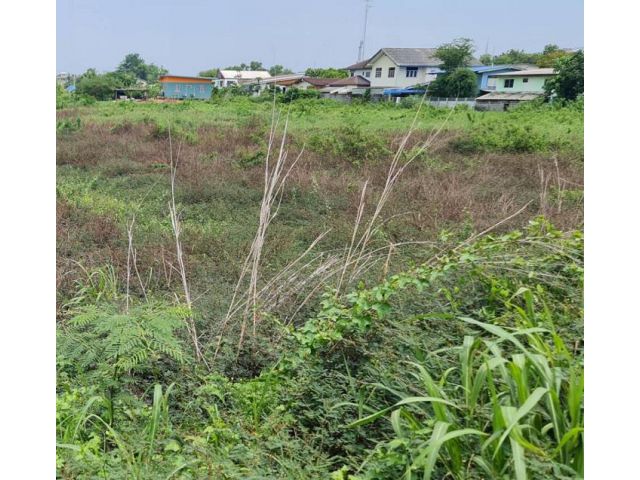 ขายที่ดิน 367 ตร.ว. ถ.เทศบาลดำริ ต.หน้าเมือง อ.เมือง จ.ปราจีนบุรี