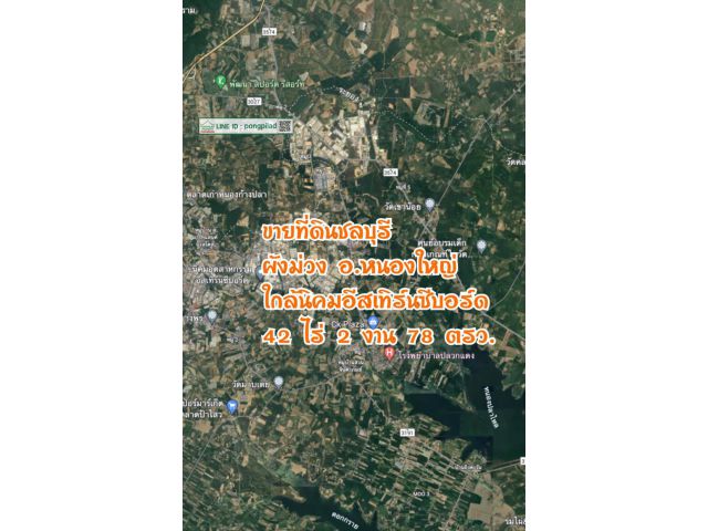 ขายที่ดินชลบุรี ผังม่วง โฉนด 42 ไร่ 2 งาน 78 ตรว. ติดถนน ไร่ละ 2.4 ล้าน