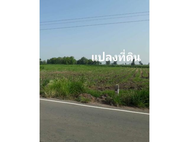 ขายที่สวยติดลาดยาง 83 ไร่ ใกล้ชุมชนไฟฟ้าผ่านหน้าแปลง เหมาะทำฟาร์มบ้านสวนเกษตร ฯลฯ